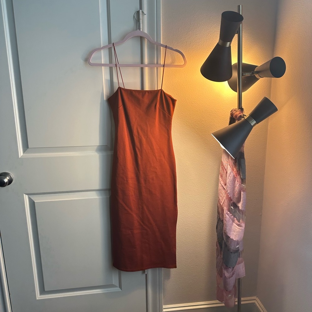 Chic Strapless Rust Dress